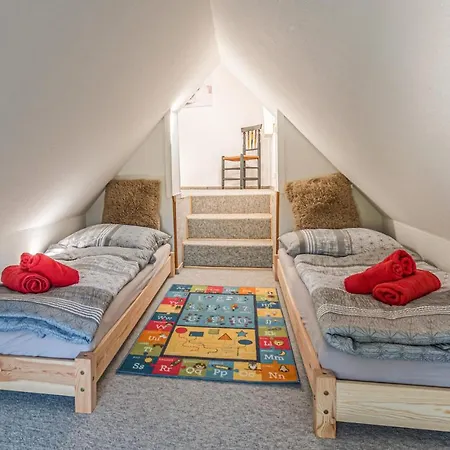 Pet Friendly In Friedrichskoog